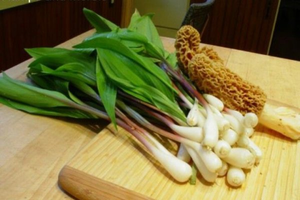 Ссылка на кракен onion kraken dark link