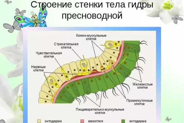 Gidra магазин