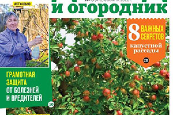 Главная страница кракен