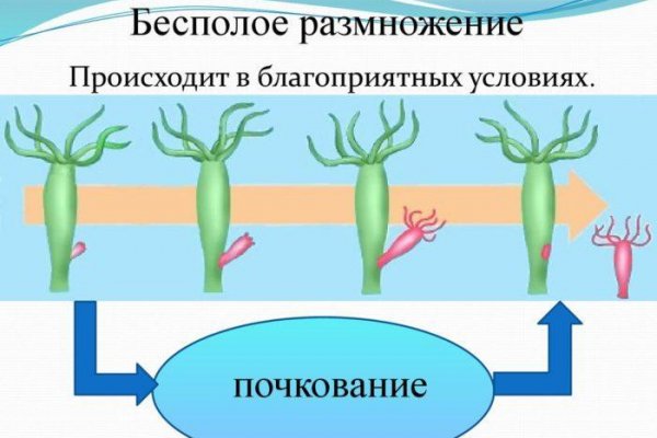 Как найти актуальную ссылку на кракен